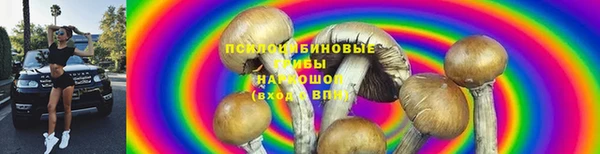 наркотики Алексин