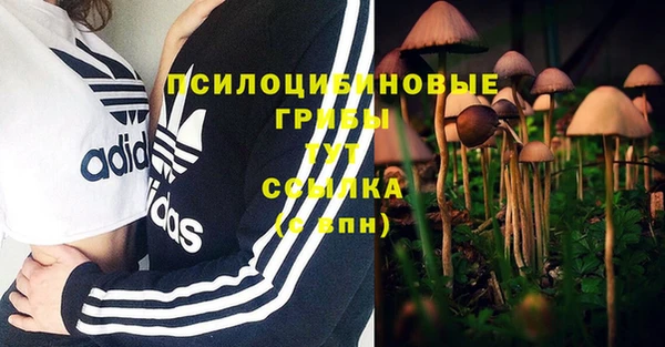 СК Алексеевка