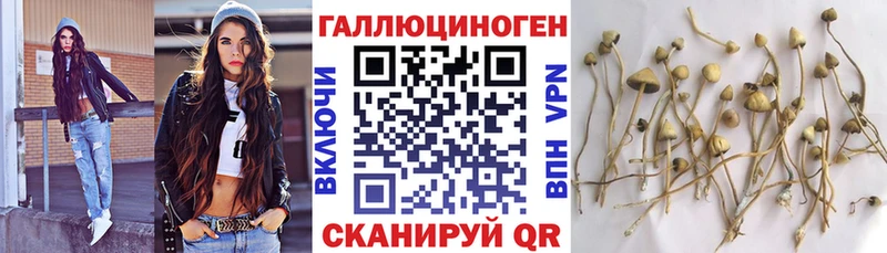 Галлюциногенные грибы ЛСД  Нелидово 